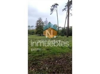 https://www.gallito.com.uy/emocionante-oportunidad-de-adquirir-un-terreno-de-inmuebles-25042764