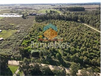 https://www.gallito.com.uy/chacra-en-venta-a-10-min-de-atlantida-sin-inmuebles-27387720