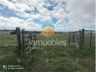 https://www.gallito.com.uy/venta-de-campo-maldonadocampo-de-41-hectareas-inmuebles-25535857