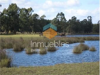 https://www.gallito.com.uy/venta-de-campo-76-ha-con-costa-estacion-floresta-inmuebles-27402275