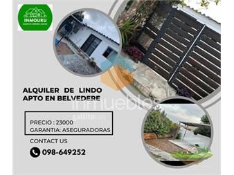 https://www.gallito.com.uy/alquilo-amplio-y-acogedor-apto-en-belvedere-inmuebles-27402652