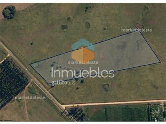 https://www.gallito.com.uy/chacra-sobre-ruta-104-de-54-has-inmuebles-27307533