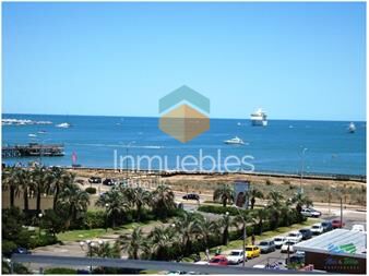 https://www.gallito.com.uy/en-alquiler-torre-de-categoria-con-excelentes-inmuebles-22537111
