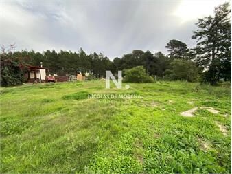 https://web5.gallito.com.uy/impecable-terreno-en-piedras-del-chileno-inmuebles-23962332