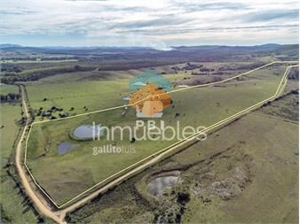 https://www.gallito.com.uy/chacra-cerca-de-pueblo-eden-ref-pbi14835-inmuebles-27405823