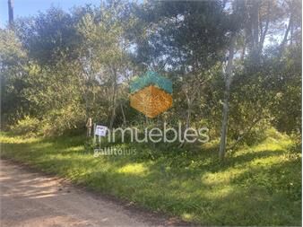 https://web5.gallito.com.uy/oportunidad-inmuebles-27406195