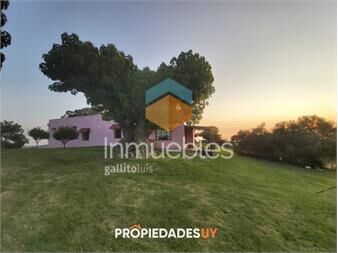 https://www.gallito.com.uy/venta-de-establecimiento-de-266-has-en-paraje-de-inmuebles-24008208