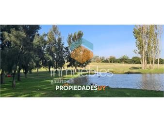 https://www.gallito.com.uy/chacra-en-colonia-32-has-inmuebles-23900133