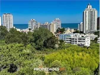 https://www.gallito.com.uy/un-nuevo-concepto-de-edificio-view-ii-a-pasos-inmuebles-26870388