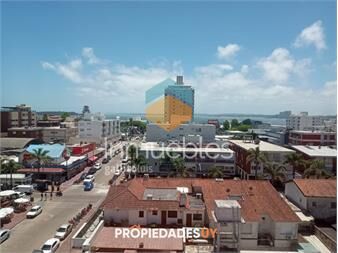 https://www.gallito.com.uy/apartamento-en-peninsula-1-dormitorio-inmuebles-25884741
