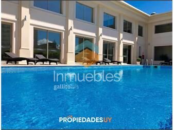 https://www.gallito.com.uy/monoambiente-en-alquiler-en-punta-del-este-inmuebles-25934813