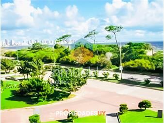 https://www.gallito.com.uy/apartamento-en-alquiler-2-dormitorios-inmuebles-25934812