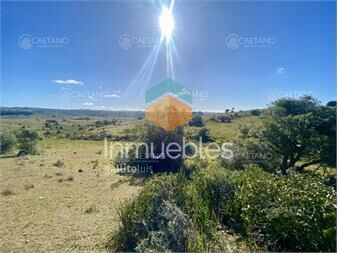 https://www.gallito.com.uy/venta-chacra-5-hectareas-camino-del-olivo-inmuebles-25764193