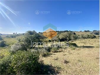 https://www.gallito.com.uy/venta-chacra-5-hectareas-maldonado-inmuebles-25764221