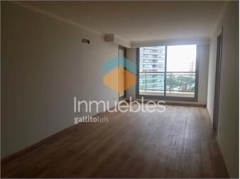 https://www.gallito.com.uy/apartamento-en-alquiler-anual-en-place-lafayette-inmuebles-27406669