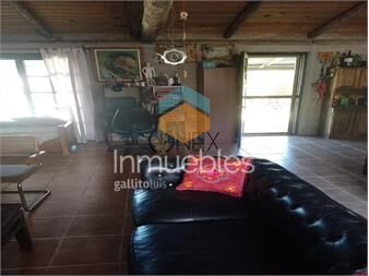 https://www.gallito.com.uy/oportunidad-de-venta-o-permuta-de-chacra-en-inmuebles-27307434