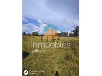 https://www.gallito.com.uy/venta-de-chacra-7-hectareas-con-casa-en-inmuebles-27306995