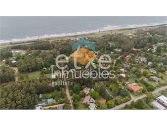 https://www.gallito.com.uy/terreno-en-venta-a-dos-cuadras-mar-bella-vista-inmuebles-27410042