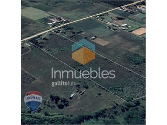 https://www.gallito.com.uy/venta-campo-4-5ha-ruta-101-colinas-de-carrasco-inmuebles-27410270