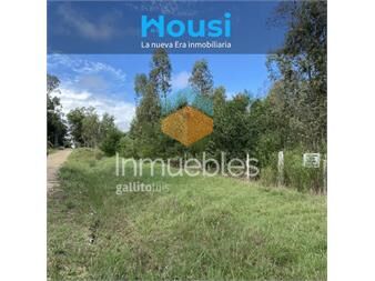 https://www.gallito.com.uy/venta-terreno-743-mt2-mas-contenedor-el-pinar-a-metros-de-inmuebles-27410380