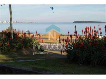 https://www.gallito.com.uy/importante-casa-en-venta-frente-a-playa-mansa-inmuebles-25038070