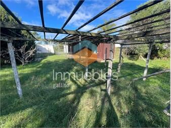 https://www.gallito.com.uy/alquiler-casa-contenedor-1-dormitorio-el-pinar-sur-inmuebles-27392386