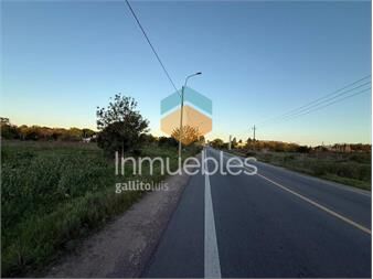 https://www.gallito.com.uy/venta-de-terreno-37-mil-metros-paso-de-la-arena-inmuebles-27106967