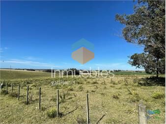 https://www.gallito.com.uy/linda-fraccion-a-15-minutos-de-jose-ignacio-y-inmuebles-27410744