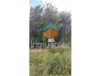 https://www.gallito.com.uy/se-vende-excelente-terreno-en-pinamar-norte-a-150-inmuebles-27406902