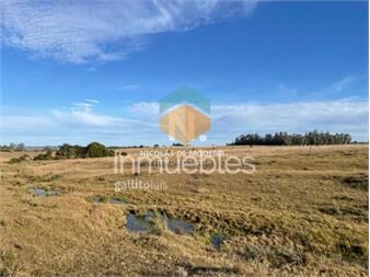 https://www.gallito.com.uy/disfrute-de-la-tranquilidad-rodeado-de-paisaje-inmuebles-24988093