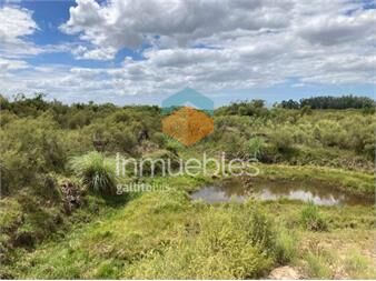 https://www.gallito.com.uy/campo-en-venta-5-hectareas-ciudad-del-plata-inmuebles-27415613