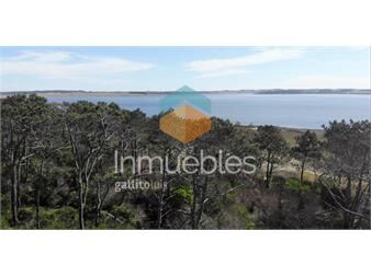 https://www.gallito.com.uy/venta-terreno-el-caracol-laguna-garzon-oportunidad-inmuebles-24206038