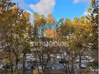 https://www.gallito.com.uy/alquiler-apartamento-2-dorm-a-metros-fac-arquitectura-inmuebles-27416116