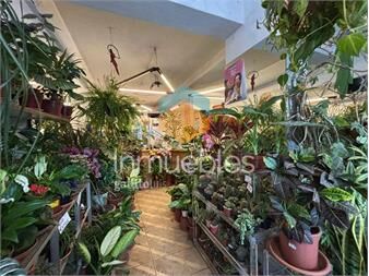 https://www.gallito.com.uy/casatroja-venta-local-cordon-sobre-18-de-julio-inmuebles-27416117