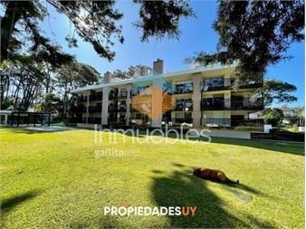 https://www.gallito.com.uy/apartamento-en-rincon-del-indio-inmuebles-27416517