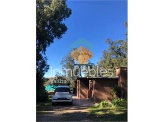 https://www.gallito.com.uy/casa-4-dormitorios-en-las-grutas-punta-ballena-inmuebles-23082153