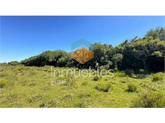 https://www.gallito.com.uy/campo-21-has-en-corte-la-leña-inmuebles-27113253