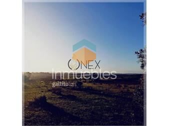 https://www.gallito.com.uy/campos-venta-maldonado-otro-inmuebles-27407375