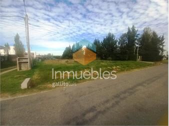 https://www.gallito.com.uy/amplio-y-hermoso-terreno-en-altos-de-san-carlos-inmuebles-27420464