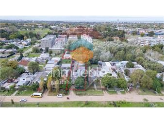 https://www.gallito.com.uy/venta-terreno-2591-m2-en-carrasco-norte-y-5-casas-inmuebles-27420764