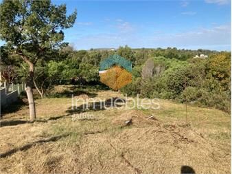 https://www.gallito.com.uy/terreno-a-la-venta-en-playa-hermosa-inmuebles-27420880