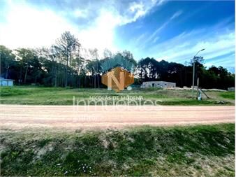 https://www.gallito.com.uy/vende-terreno-en-la-hermosa-zona-de-camino-inmuebles-25535503