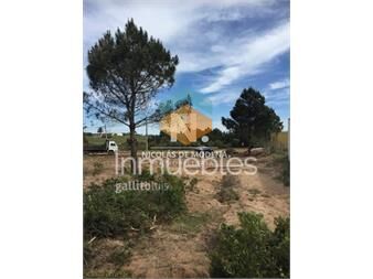https://www.gallito.com.uy/gran-terreno-en-venta-inmuebles-25041928