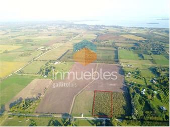 https://www.gallito.com.uy/1-camino-a-la-arenisca-02-inmuebles-27155713