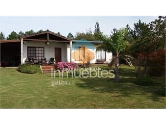 https://www.gallito.com.uy/chacra-en-pueblo-eden-inmuebles-25034906