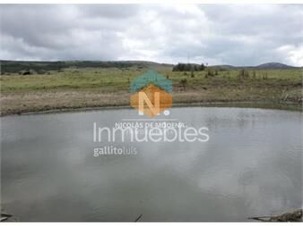 https://www.gallito.com.uy/chacra-de-5-has-proxima-a-abra-de-perdomo-inmuebles-24995697