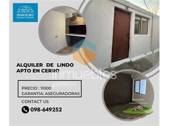 https://www.gallito.com.uy/alquilo-acogedor-y-lindo-apartamento-en-le-cerro-inmuebles-27433866