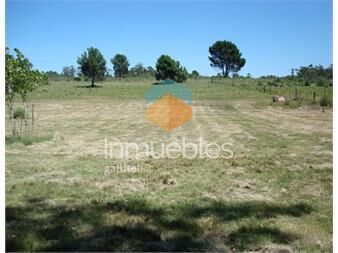 https://www.gallito.com.uy/oportunidad-bajã³-de-precio-con-casita-a-inmuebles-27433912