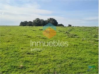 https://www.gallito.com.uy/campo-agricola-ganadero-422-has-sobre-ruta-15-inmuebles-27113327