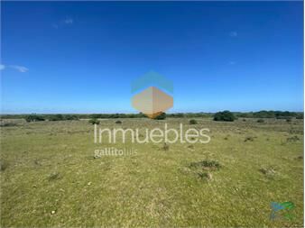 https://www.gallito.com.uy/precio-rebajado-campaso-agricola-ganadero-inmuebles-25972138